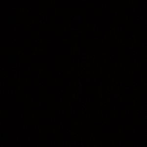 Meet your Posher, Janiya